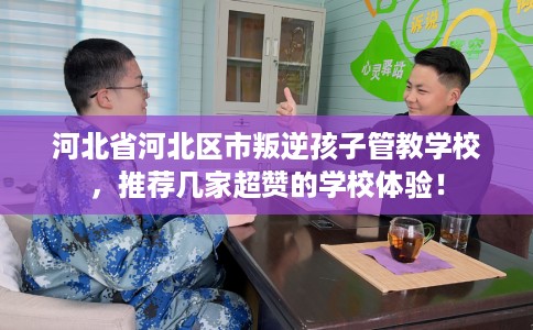 河北省河北区市叛逆孩子管教学校，推荐几家超赞的学校体验！
