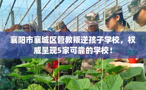 襄阳市襄城区管教叛逆孩子学校，权威呈现5家可靠的学校！