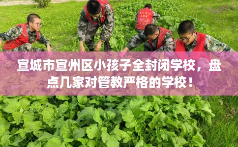 宣城市宣州区小孩子全封闭学校，盘点几家对管教严格的学校！