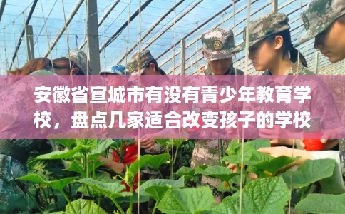 安徽省宣城市有没有青少年教育学校,盘点几家适合改变孩子的学校! 安徽省宣城市有没有青少年教育学校,盘点几家适合改变孩子的学校!