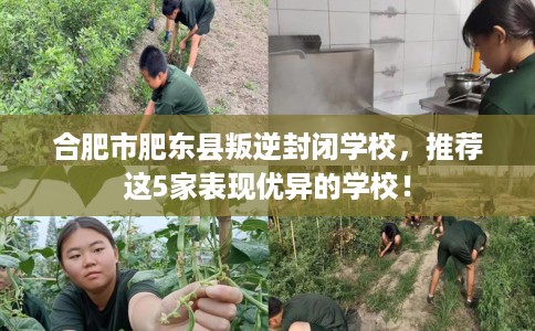 合肥市肥东县叛逆封闭学校，推荐这5家表现优异的学校！