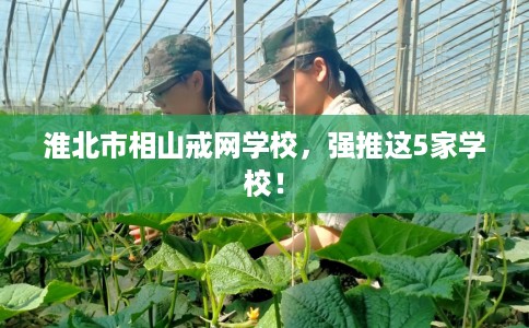 淮北市相山戒网学校，强推这5家学校！