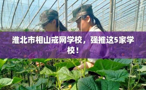 淮北市相山戒网学校，强推这5家学校！