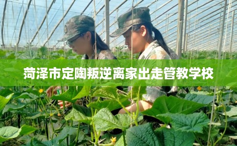 菏泽市定陶叛逆离家出走管教学校 菏泽市定陶叛逆离家出走管教学校