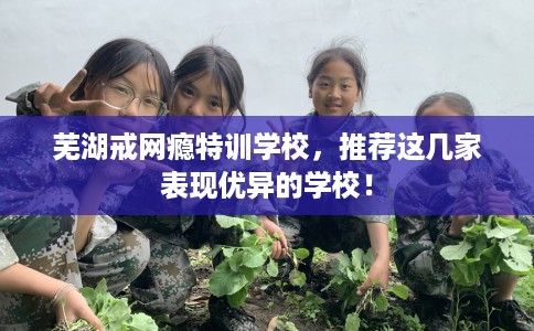 芜湖戒网瘾特训学校，推荐这几家表现优异的学校！