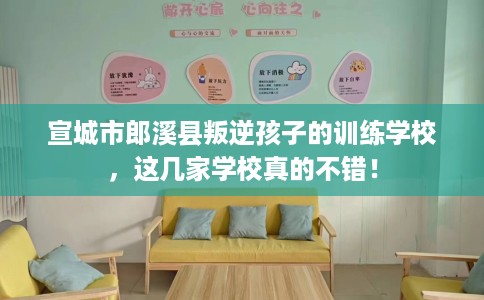 宣城市郎溪县叛逆孩子的训练学校，这几家学校真的不错！