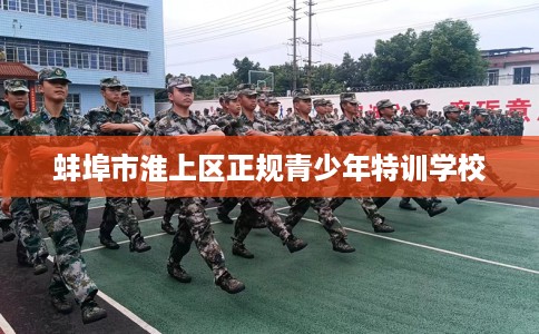 蚌埠市淮上区正规青少年特训学校