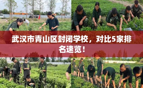 武汉市青山区封闭学校，对比5家排名速览！