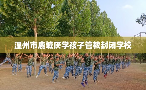 温州市鹿城厌学孩子管教封闭学校