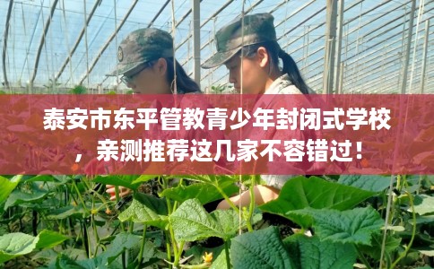 泰安市东平管教青少年封闭式学校，亲测推荐这几家不容错过！