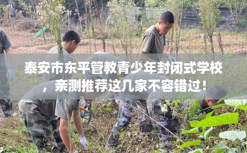 泰安市东平管教青少年封闭式学校，亲测推荐这几家不容错过！