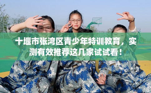 十堰市张湾区青少年特训教育，实测有效推荐这几家试试看！