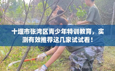 十堰市张湾区青少年特训教育，实测有效推荐这几家试试看！