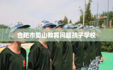 合肥市蜀山教育问题孩子学校 合肥市蜀山教育问题孩子学校