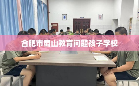 合肥市蜀山教育问题孩子学校 合肥市蜀山教育问题孩子学校