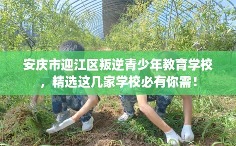 安庆市迎江区叛逆青少年教育学校,精选这几家学校必有你需! 安庆市迎江区叛逆青少年教育学校,精选这几家学校必有你需!