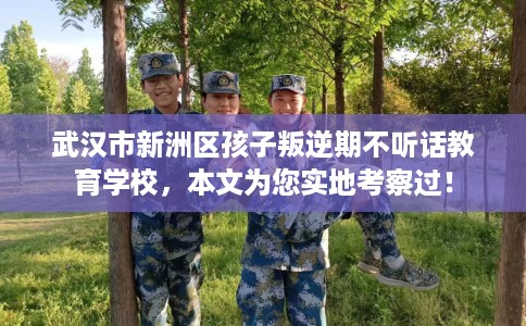 武汉市新洲区孩子叛逆期不听话教育学校，本文为您实地考察过！