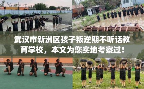 武汉市新洲区孩子叛逆期不听话教育学校，本文为您实地考察过！