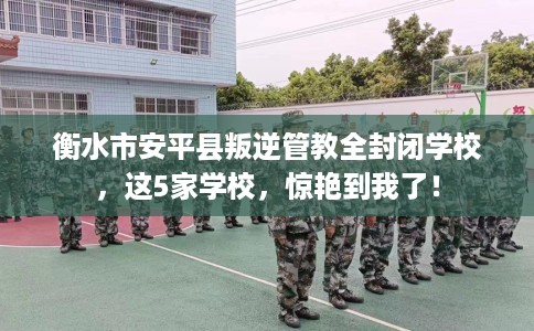 衡水市安平县叛逆管教全封闭学校，这5家学校，惊艳到我了！