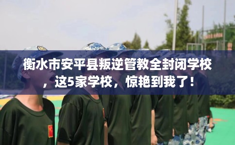 衡水市安平县叛逆管教全封闭学校，这5家学校，惊艳到我了！