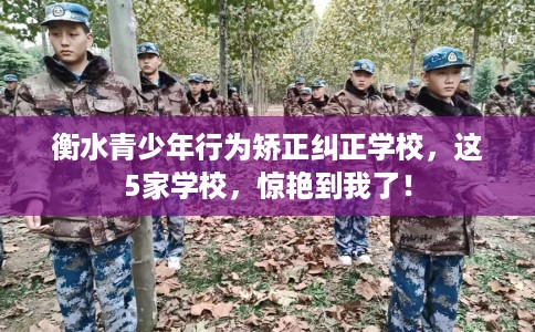 衡水青少年行为矫正纠正学校，这5家学校，惊艳到我了！