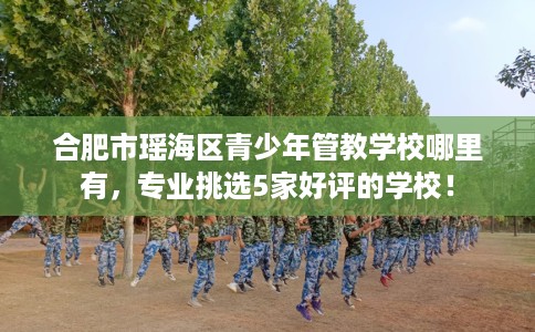 合肥市瑶海区青少年管教学校哪里有，专业挑选5家好评的学校！