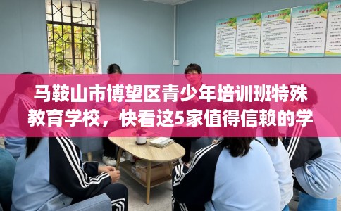 马鞍山市博望区青少年培训班特殊教育学校，快看这5家值得信赖的学校！