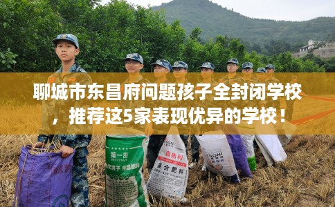 聊城市东昌府问题孩子全封闭学校，推荐这5家表现优异的学校！