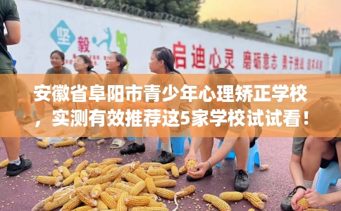安徽省阜阳市青少年心理矫正学校，实测有效推荐这5家学校试试看！