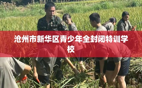 沧州市新华区青少年全封闭特训学校 沧州市新华区青少年全封闭特训学校