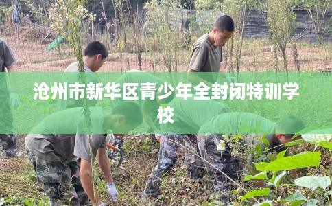 沧州市新华区青少年全封闭特训学校 沧州市新华区青少年全封闭特训学校
