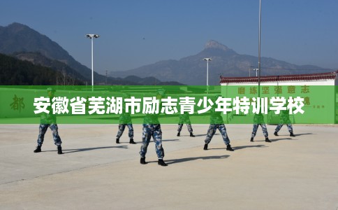 安徽省芜湖市励志青少年特训学校