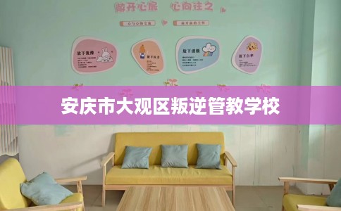 安庆市大观区叛逆管教学校