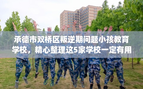 承德市双桥区叛逆期问题小孩教育学校，精心整理这5家学校一定有用！