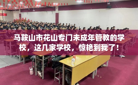 马鞍山市花山专门未成年管教的学校，这几家学校，惊艳到我了！