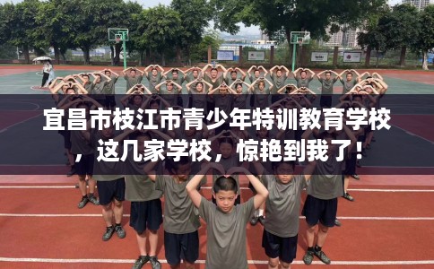 宜昌市枝江市青少年特训教育学校，这几家学校，惊艳到我了！