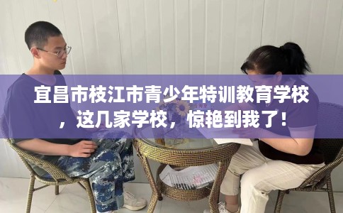 宜昌市枝江市青少年特训教育学校，这几家学校，惊艳到我了！