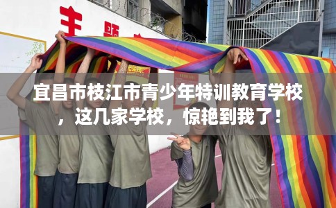 宜昌市枝江市青少年特训教育学校，这几家学校，惊艳到我了！