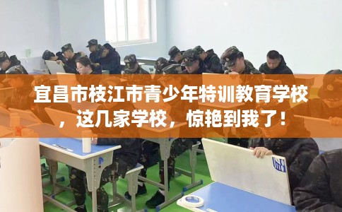 宜昌市枝江市青少年特训教育学校，这几家学校，惊艳到我了！