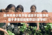 德州市青少年不听话孩子管教学校，基于多年经验推荐这5家学校！