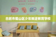 合肥市蜀山区少年叛逆教育学校