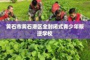 黄石市黄石港区全封闭式青少年叛逆学校