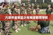 六安市金安区少年叛逆教育学校