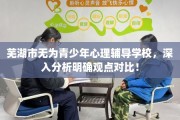 芜湖市无为青少年心理辅导学校，深入分析明确观点对比！