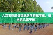 六安市霍邱县叛逆厌学管教学校，强推这几家学校！