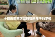 十堰市郧西区监管叛逆孩子的学校
