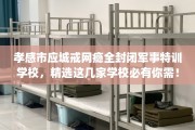 孝感市应城戒网瘾全封闭军事特训学校，精选这几家学校必有你需！
