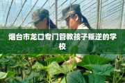 烟台市龙口专门管教孩子叛逆的学校