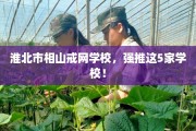 淮北市相山戒网学校，强推这5家学校！