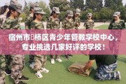 宿州市埇桥区青少年管教学校中心，专业挑选几家好评的学校！